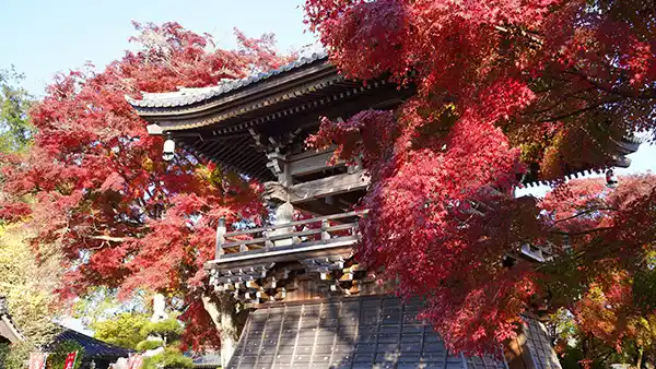 茨城県城里町の大山寺の紅葉