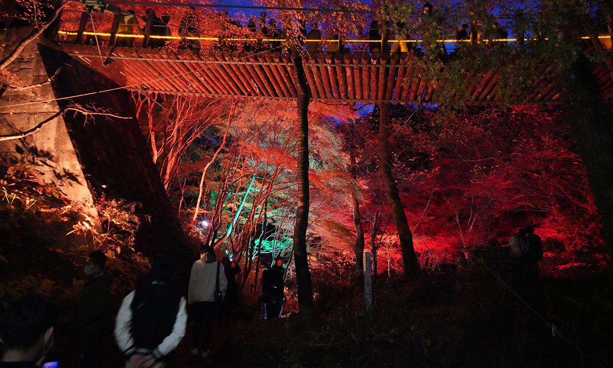 高萩市花貫渓谷の汐見滝吊り橋の紅葉ライトアップのVRツアー