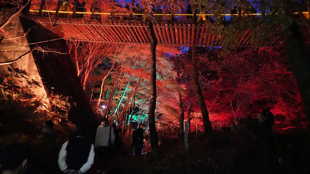高萩市花貫渓谷の汐見滝吊り橋の紅葉ライトアップのVRツアー