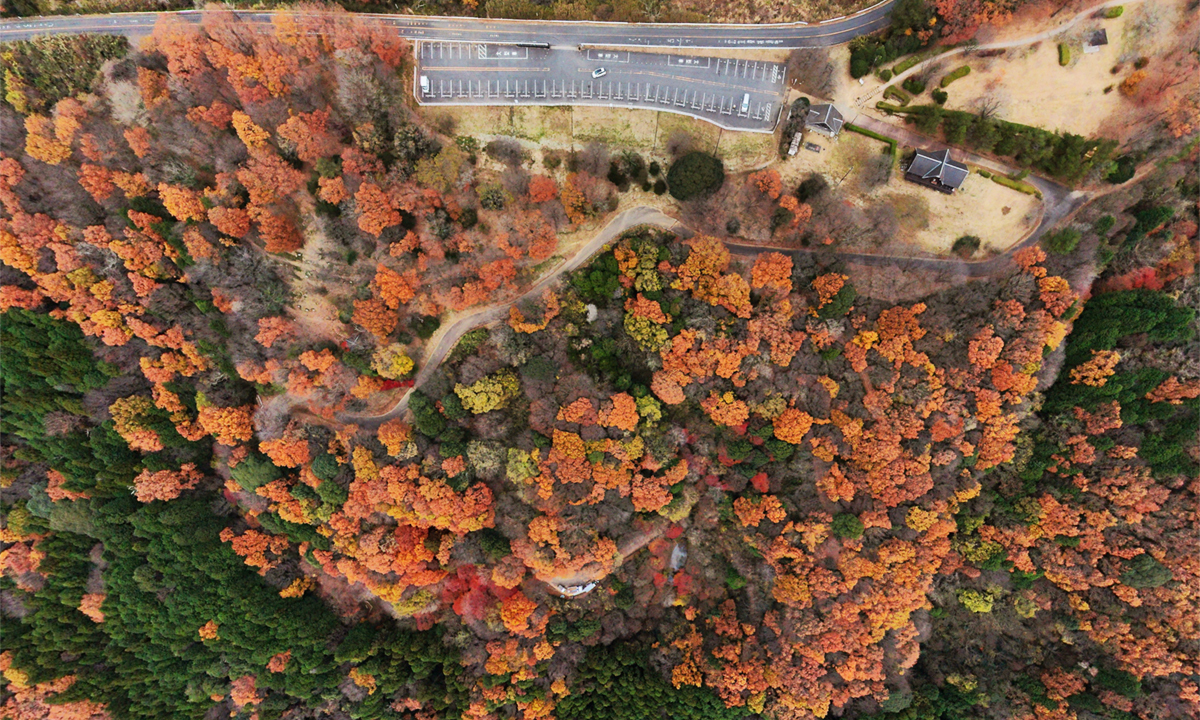 茨城県土浦市のもみじの森の紅葉の上空からの景観