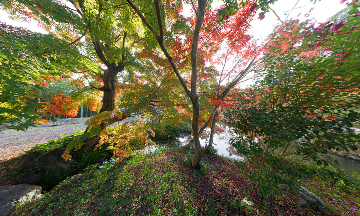 茨城県土浦市東城寺の池付近の紅葉観光VRツアー