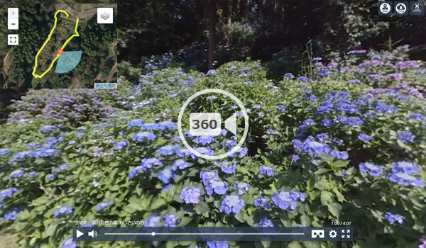 茨城町観光名所の涸沼自然公園あじさいの谷の観光VR動画