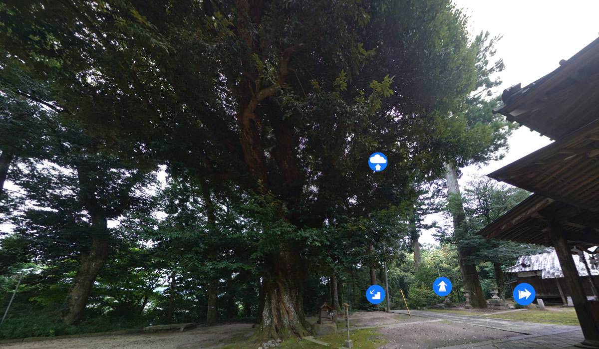 笠間市おすすめ観光スポットの稲田神社の巨木と夫婦杉