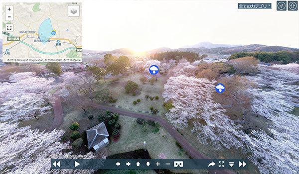 茨城県桜川市の磯部桜川公園の桜