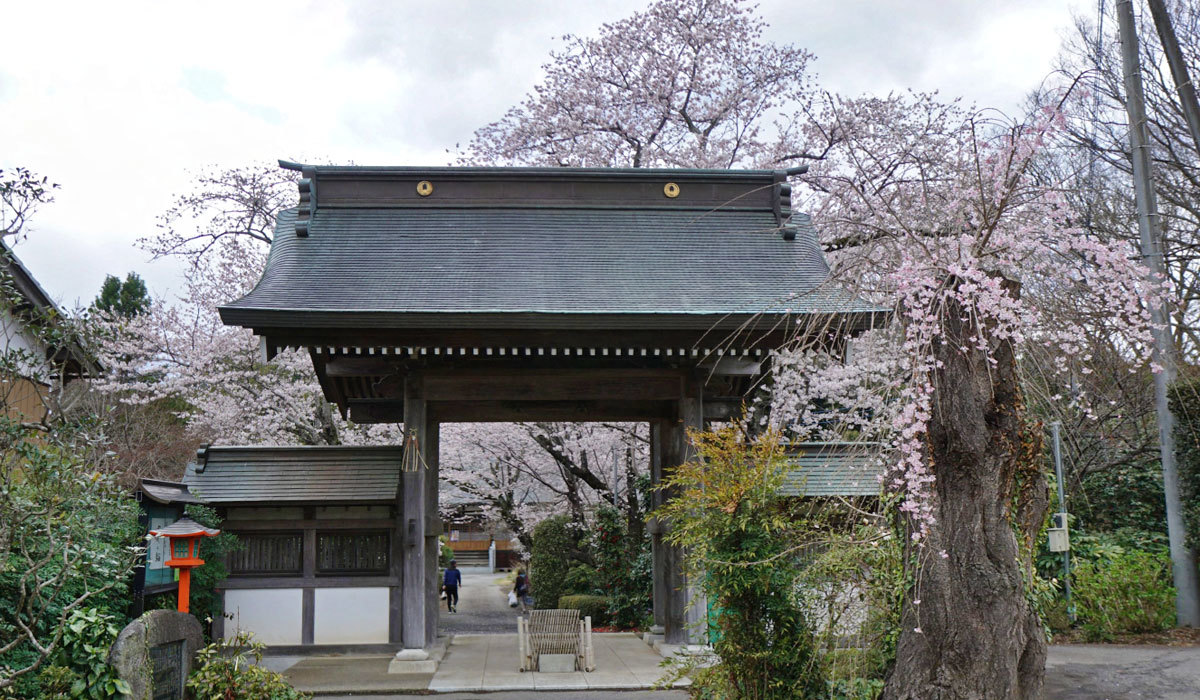 土浦市の花見スポット神宮寺の桜VRツアー