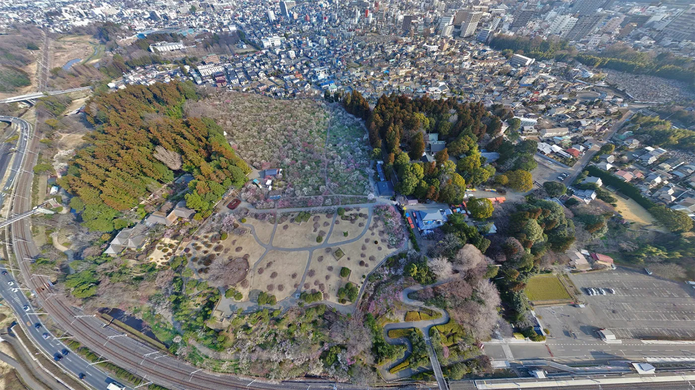 水戸市のおすすめスポットの偕楽園の空撮写真