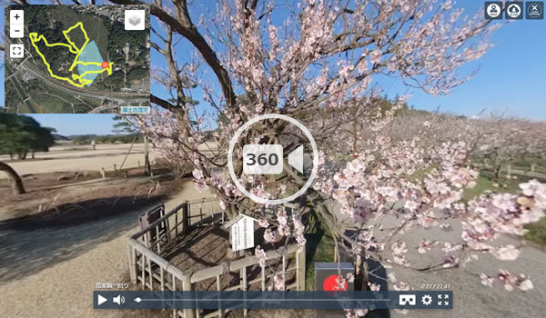 茨城県水戸市の偕楽園の梅の360度動画
