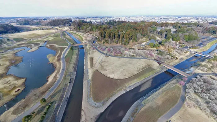 水戸市の観光名所の偕楽園の拡張部梅林の空撮写真