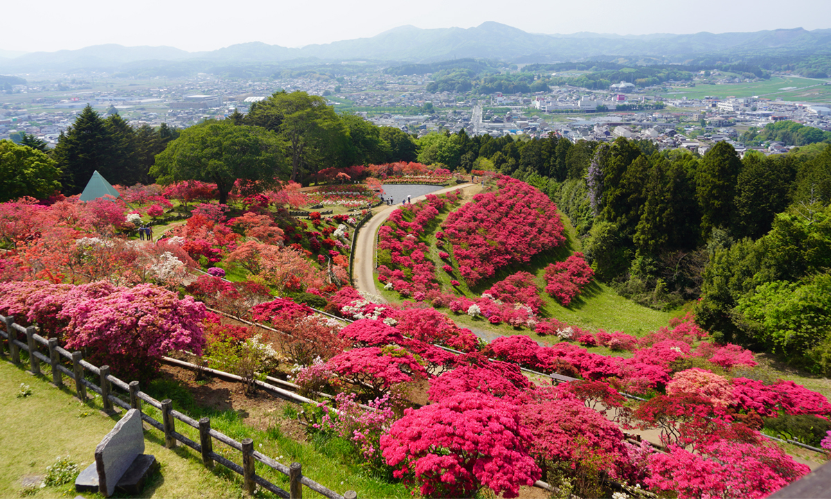 茨城県笠間市笠間つつじ公園の観光VRツアー