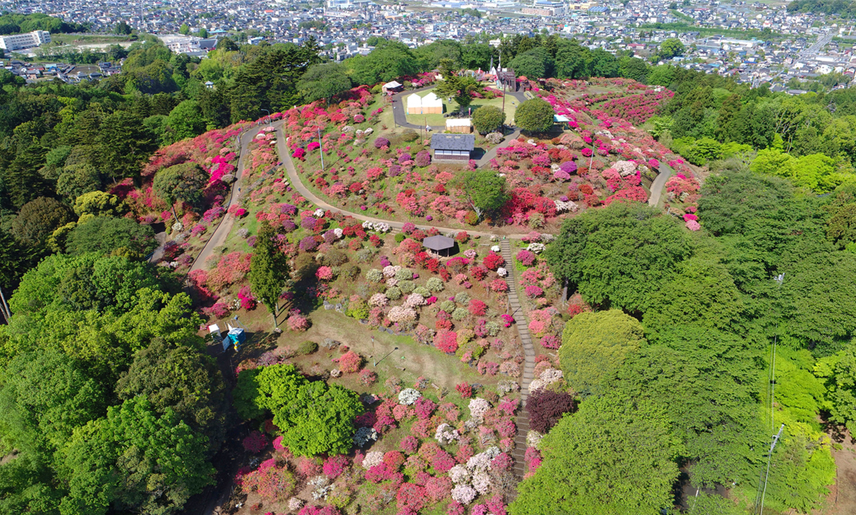 茨城県笠間市おすすめ観光名所の笠間つつじ公園