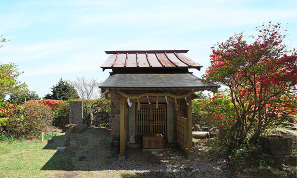 茨城県笠間市おすすめ観光名所の吾国山のつつじ