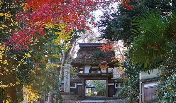 茨城県笠間市の紅葉名所の稲田禅房西念寺