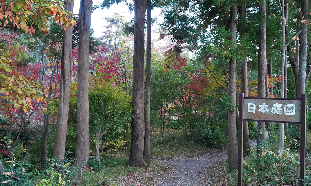 笠松運動公園の日本庭園のもみじの紅葉