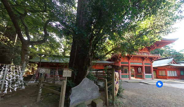 茨城県潮来市の巨木観光名所の鹿島神宮
