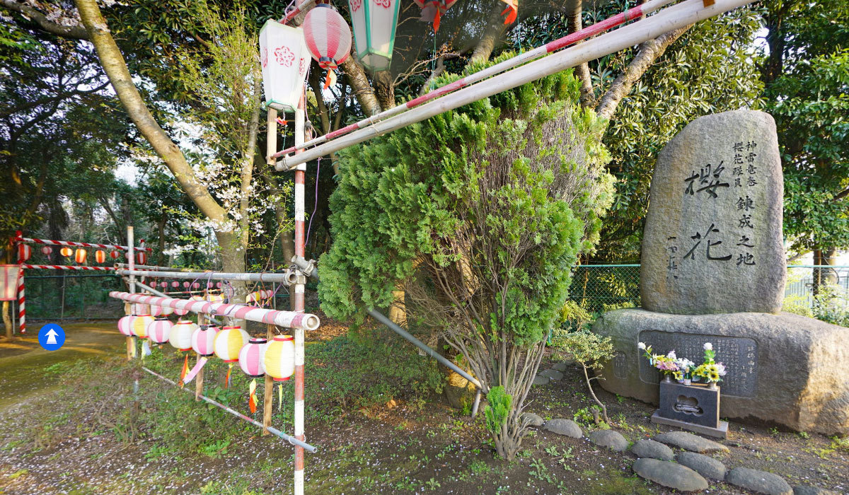 鹿嶋市おすすめ歴史スポットの桜花公園