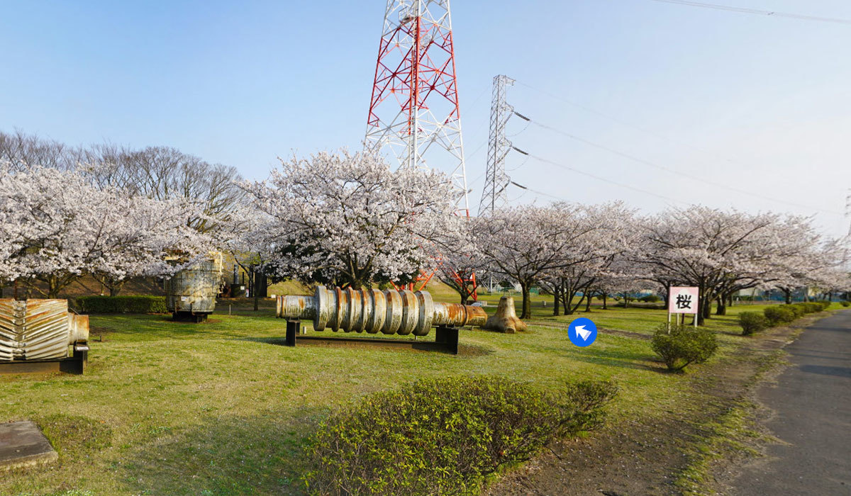 鹿嶋市おすすめ桜スポットの桜公園VRツアー