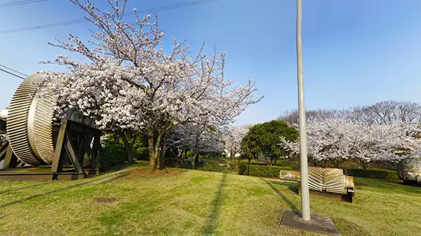 茨城県鹿嶋市の桜公園VRツアー
