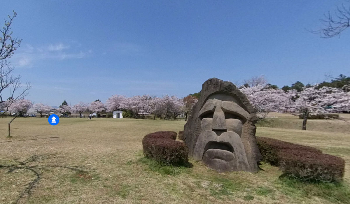 石岡市おすすめ花見観光スポットの柏原池公園