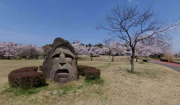 石岡市の柏原池公園の桜VRツアー