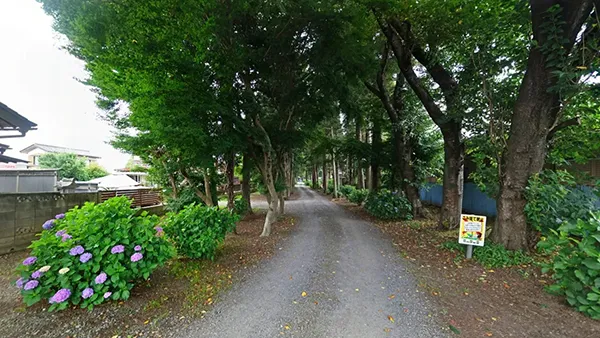 茨城県筑西市の観光名所の筑西市春日神社のアジサイの案内VRツアー