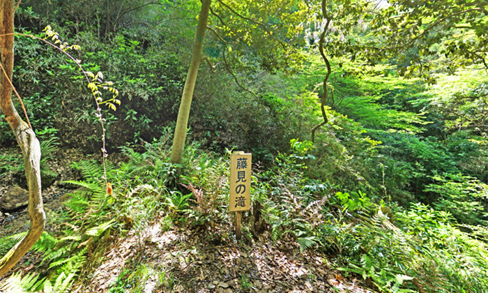 茨城県かすみがうら市おすすめスポットの藤見の滝