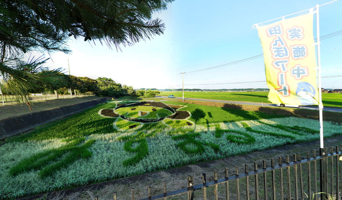 行方市おすすめ季節観光スポットの田んぼアート