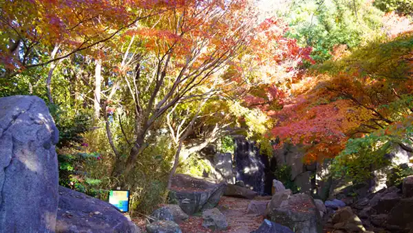 水郷の滝の紅葉の景観写真