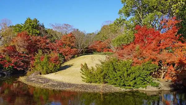 西口付近の池前からの紅葉景観写真