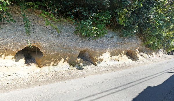 茨城県かすみがうら市おすすめ史跡スポットの崎浜横穴古墳群