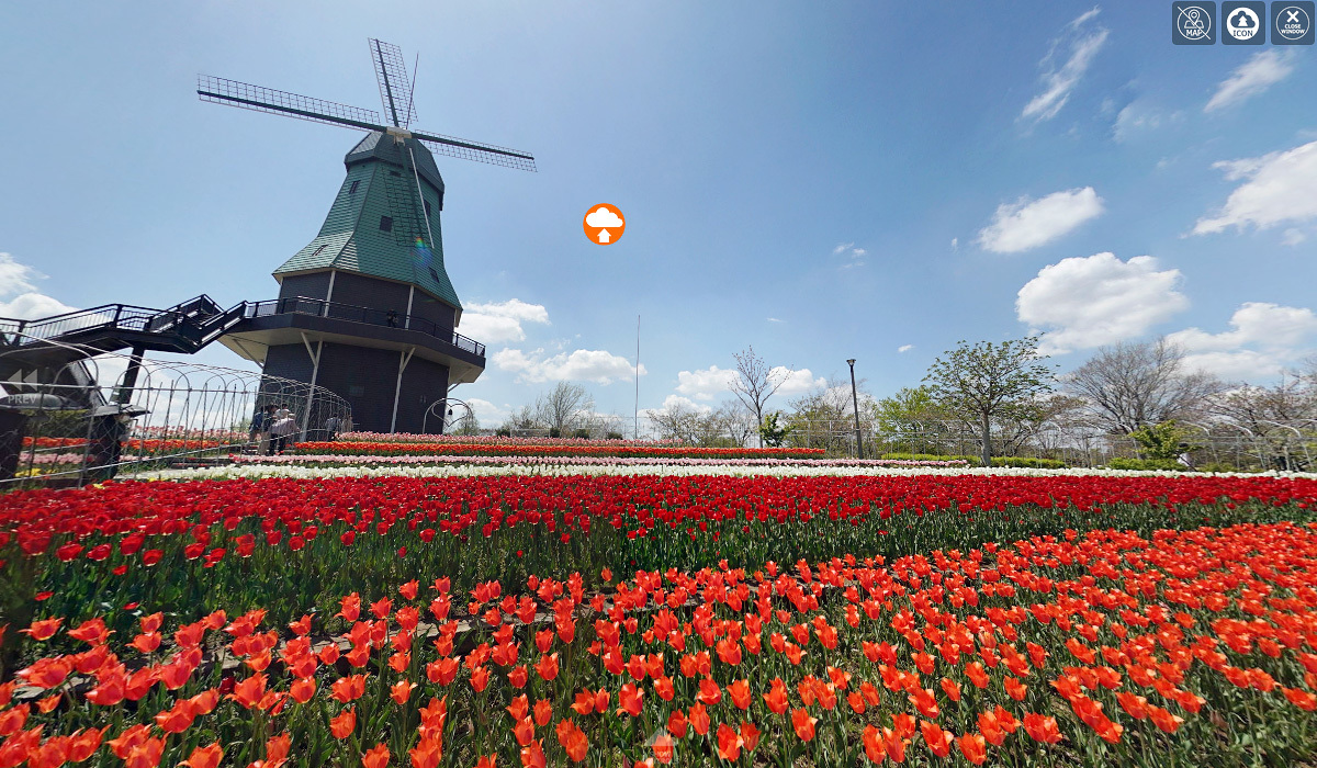 茨城県の人気観光スポット霞ヶ浦水郷公園の風車とチューリップ畑