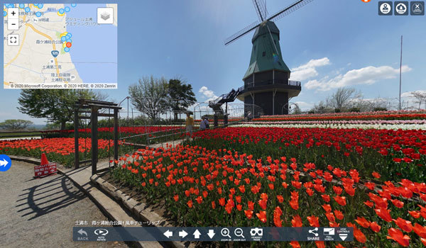 霞ヶ浦総合公園のチューリップのVRツアー写真