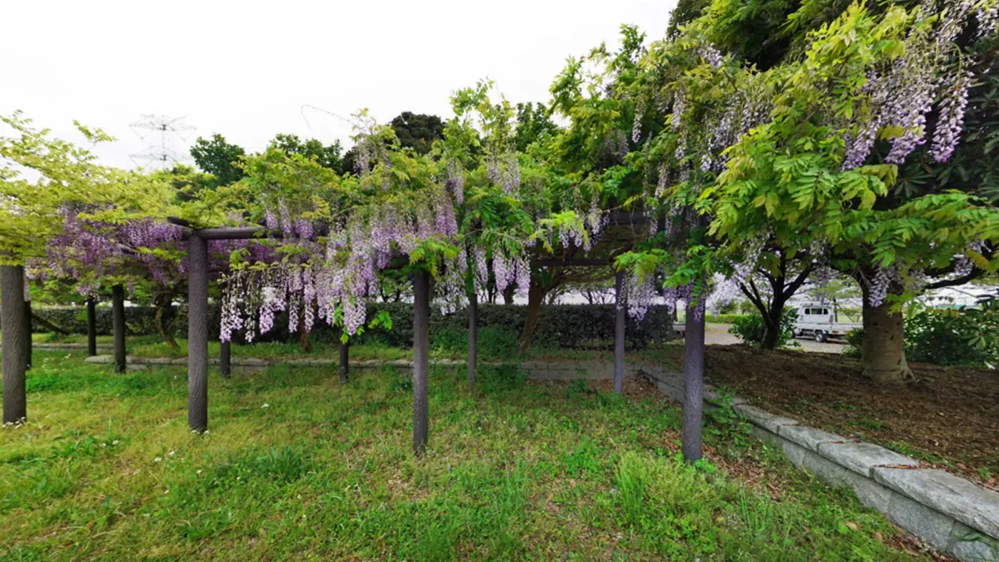 茨城県河内町水と緑のふれあい公園の観光VRツアー