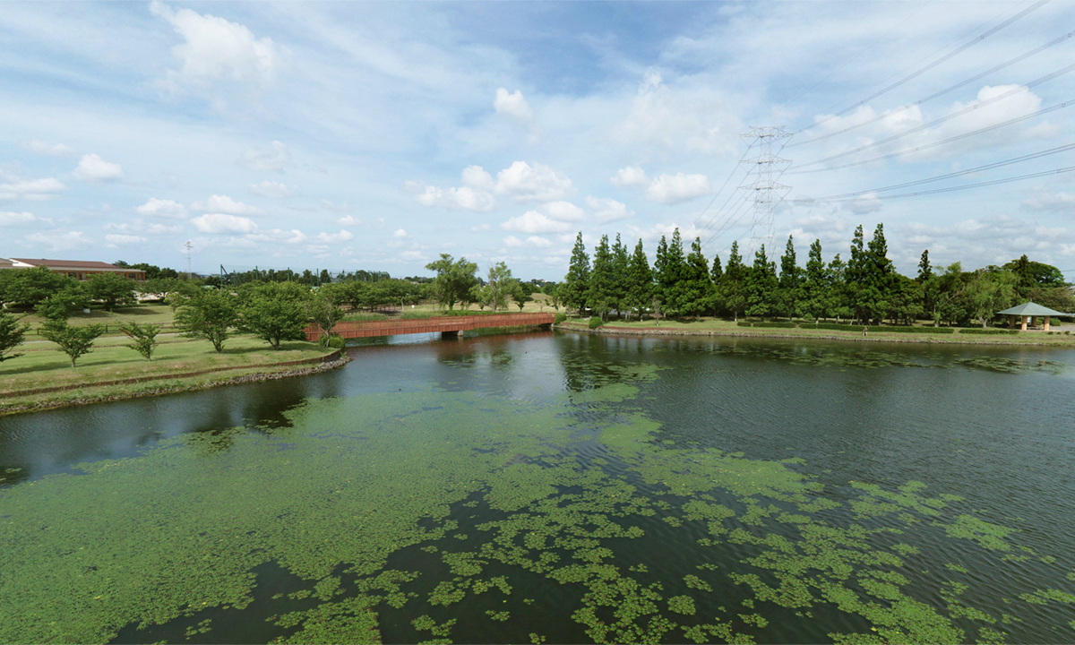 河内町おすすめ観光交通スポットの水と緑のふれあい公園