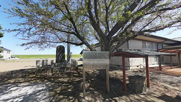 茨城県五霞町の川妻一色神社の桜のVRツアー