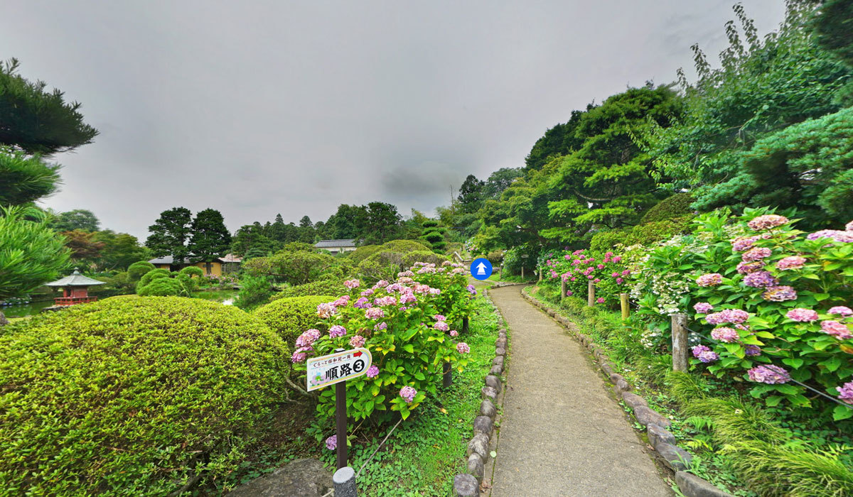 茨城県のあじさい観光名所の桂岸寺保和苑