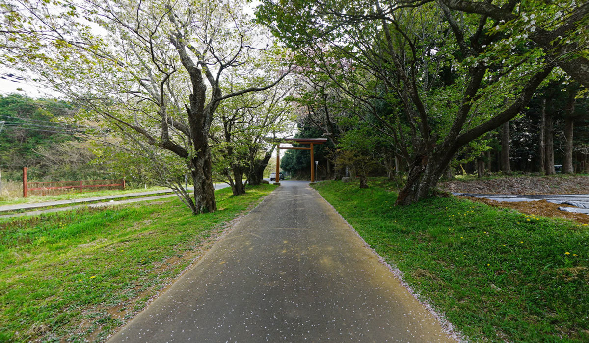 茨城県行方市の化蘇沼稲荷神社・一の鳥居桜並木