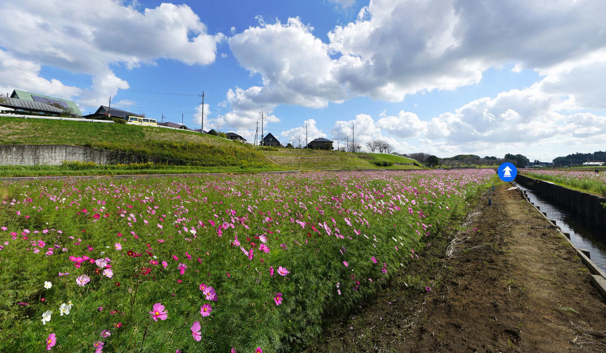 小美玉市の観光名所 おすすめスポット観光案内 茨城vrツアー