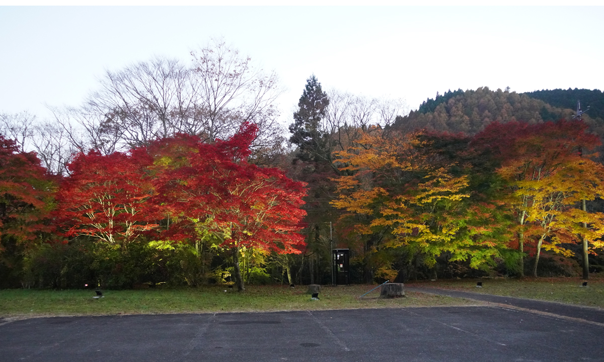 花園地域交流センター付近の紅葉