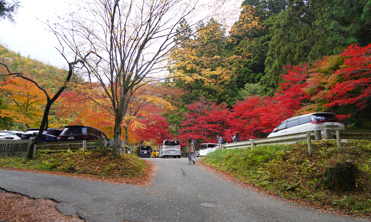 北茨城市の花園神社駐車場の紅葉