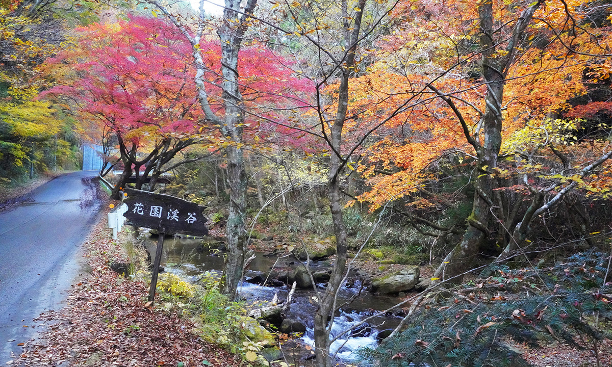 茨城県の紅葉観光名所の花園渓谷