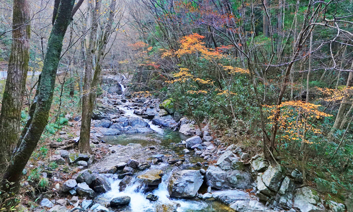 21年 茨城県の主な紅葉名所案内 茨城vrツアー 21年 茨城県の主な紅葉名所案内 茨城vrツアー