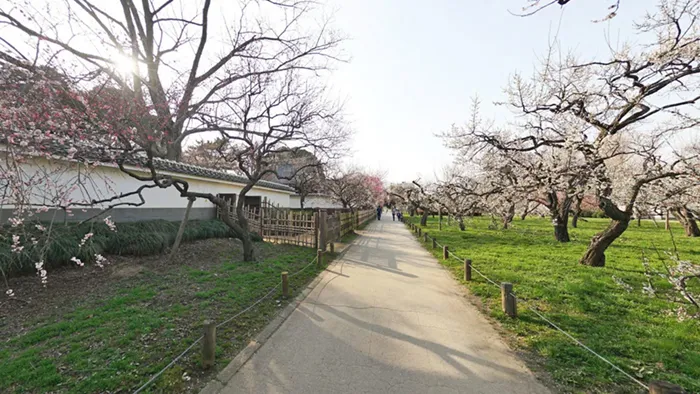 水戸市おすすめ景観・史跡観光スポットの弘道館公園