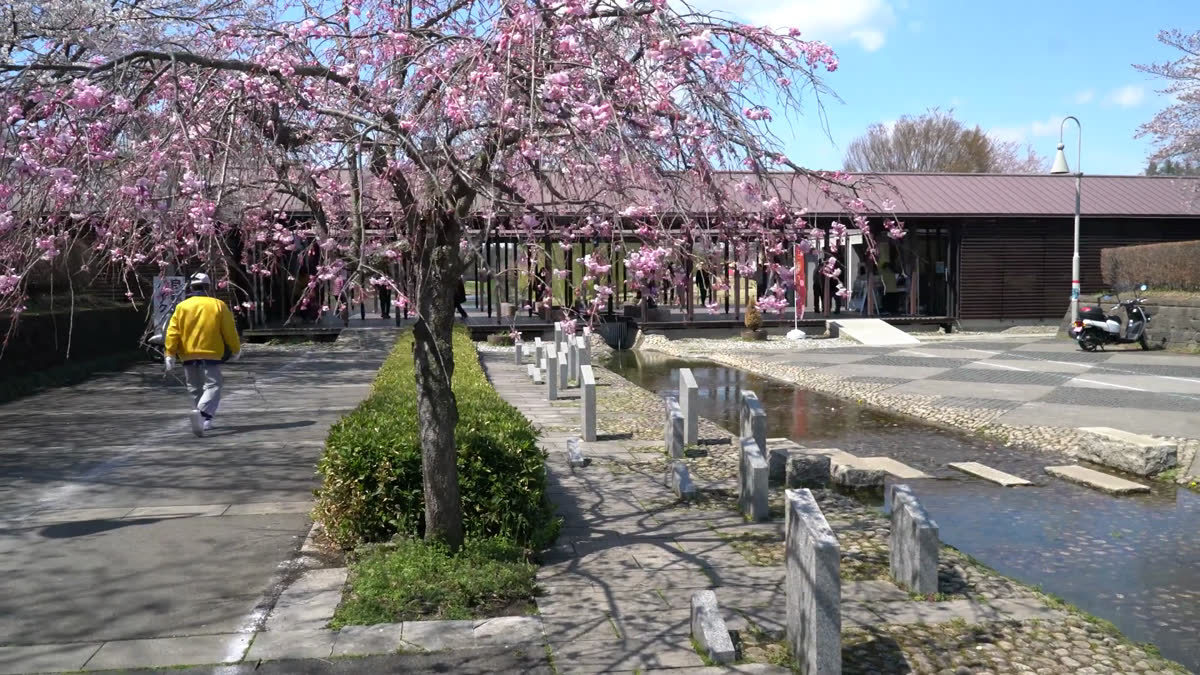 「古河公方公園」の画像検索結果