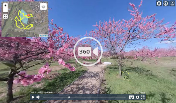 古河市の古河公方公園の桃園の360度動画