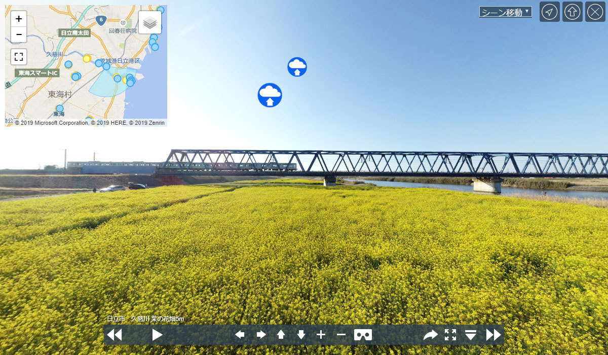 久慈川菜の花畑