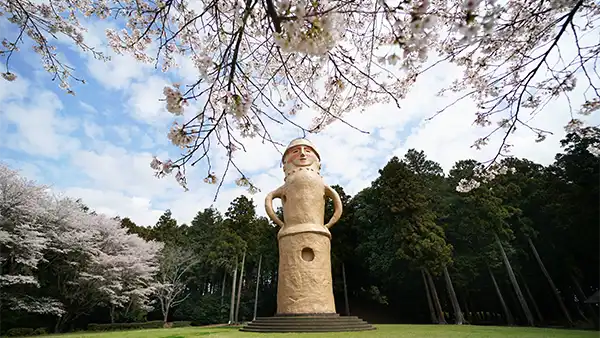  茨城県水戸市牛伏町のくれふしの里古墳公園の桜