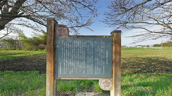 水戸市の渡満道路の桜並木と説明板の写真