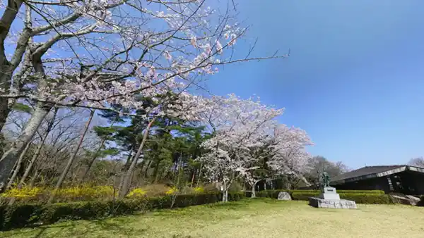 水戸市桜花見おすすめスポットの森林公園 自然環境活用センターの桜
