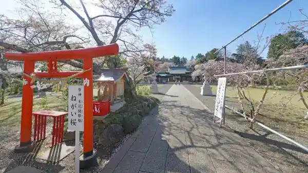 水戸市桜花見名所の茨城県護国神社