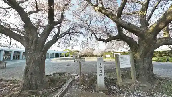 水戸市花見名所の大串貝塚ふれあい公園